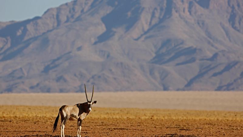 Namibie : les meilleures choses à faire et à voir en 2025